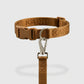 Origins Collar Pack