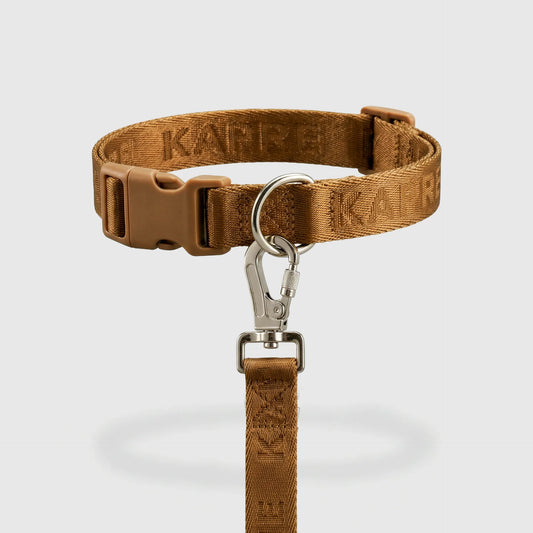 Origins Collar Pack