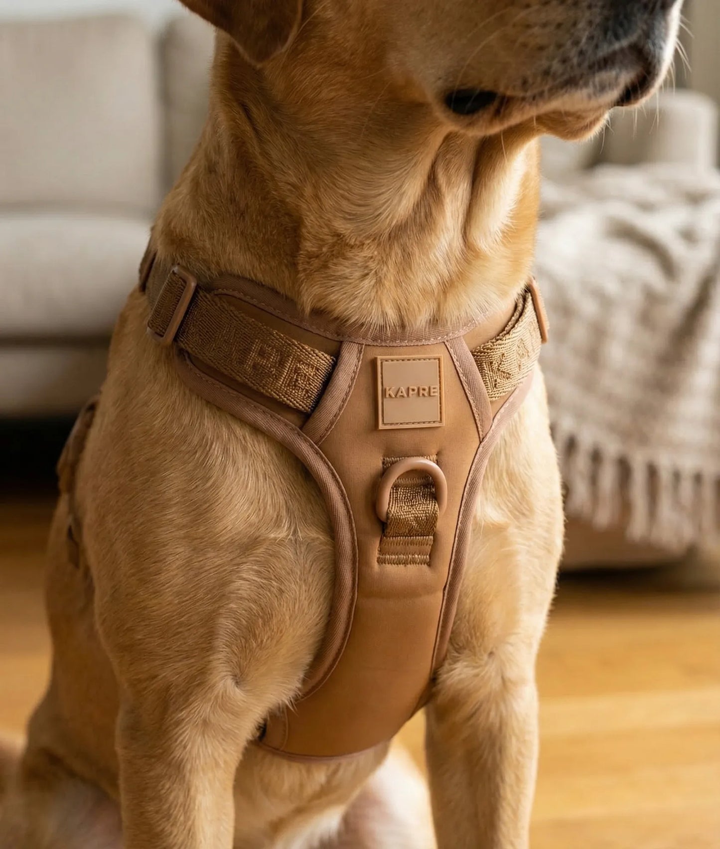 Origins Harness - Copper