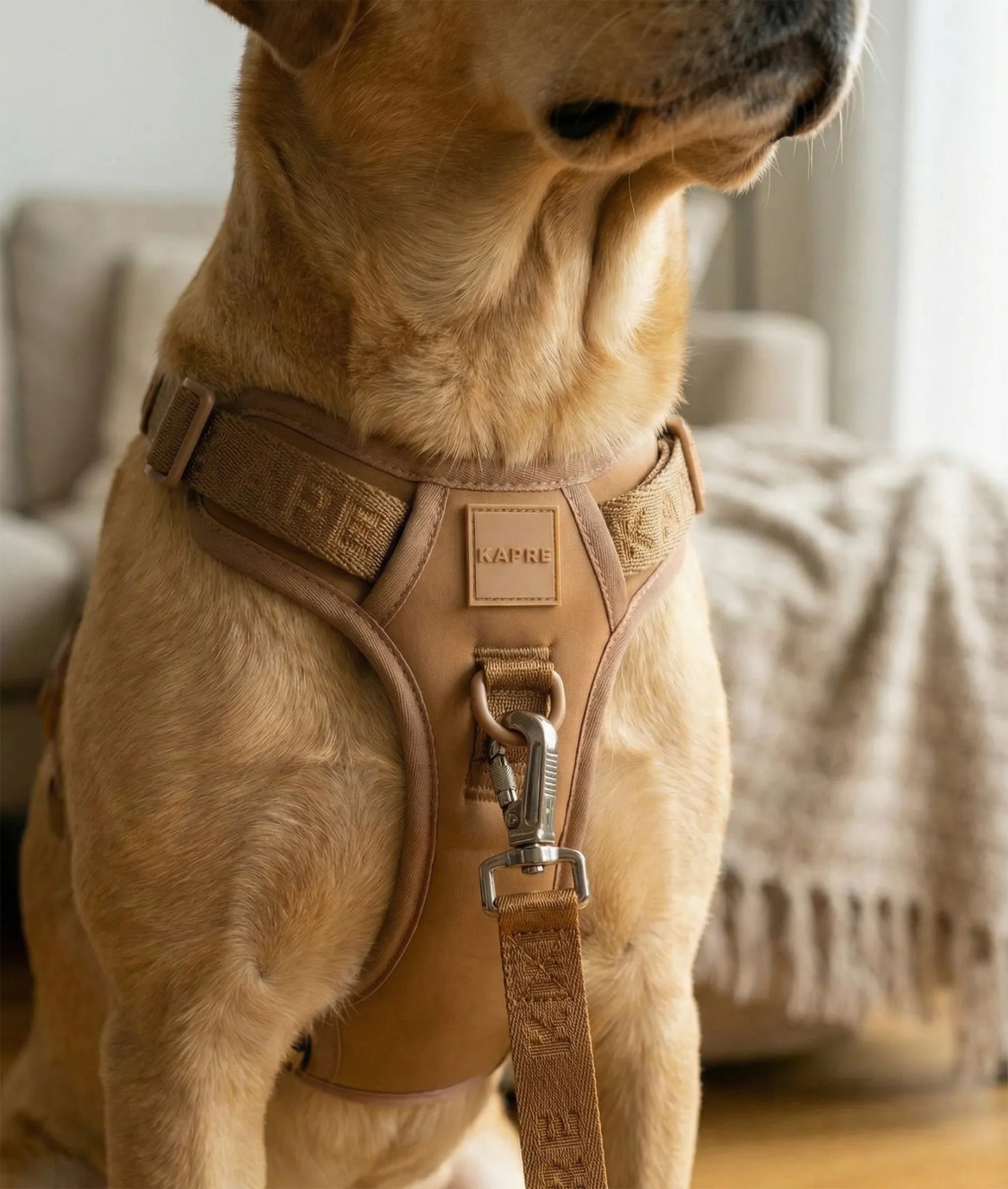 Origins Leash - Copper